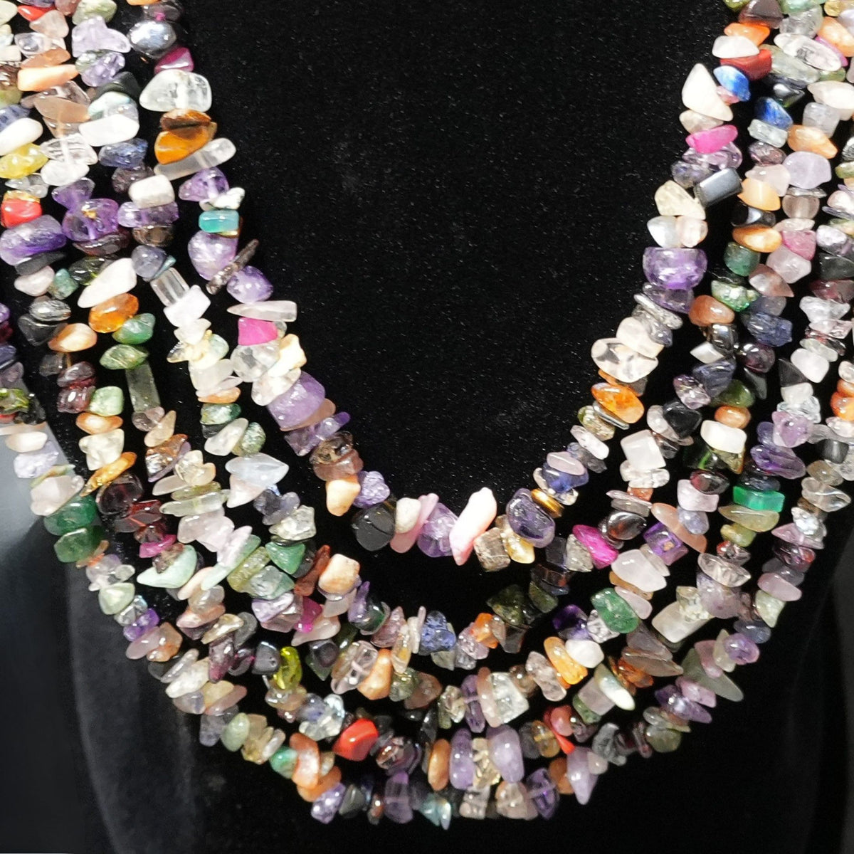 A Celebration of Colors, Crafted by Nature